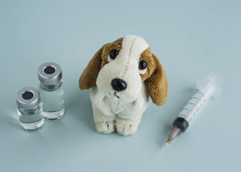 Anna Peruffo vaccinazioni prevenzione