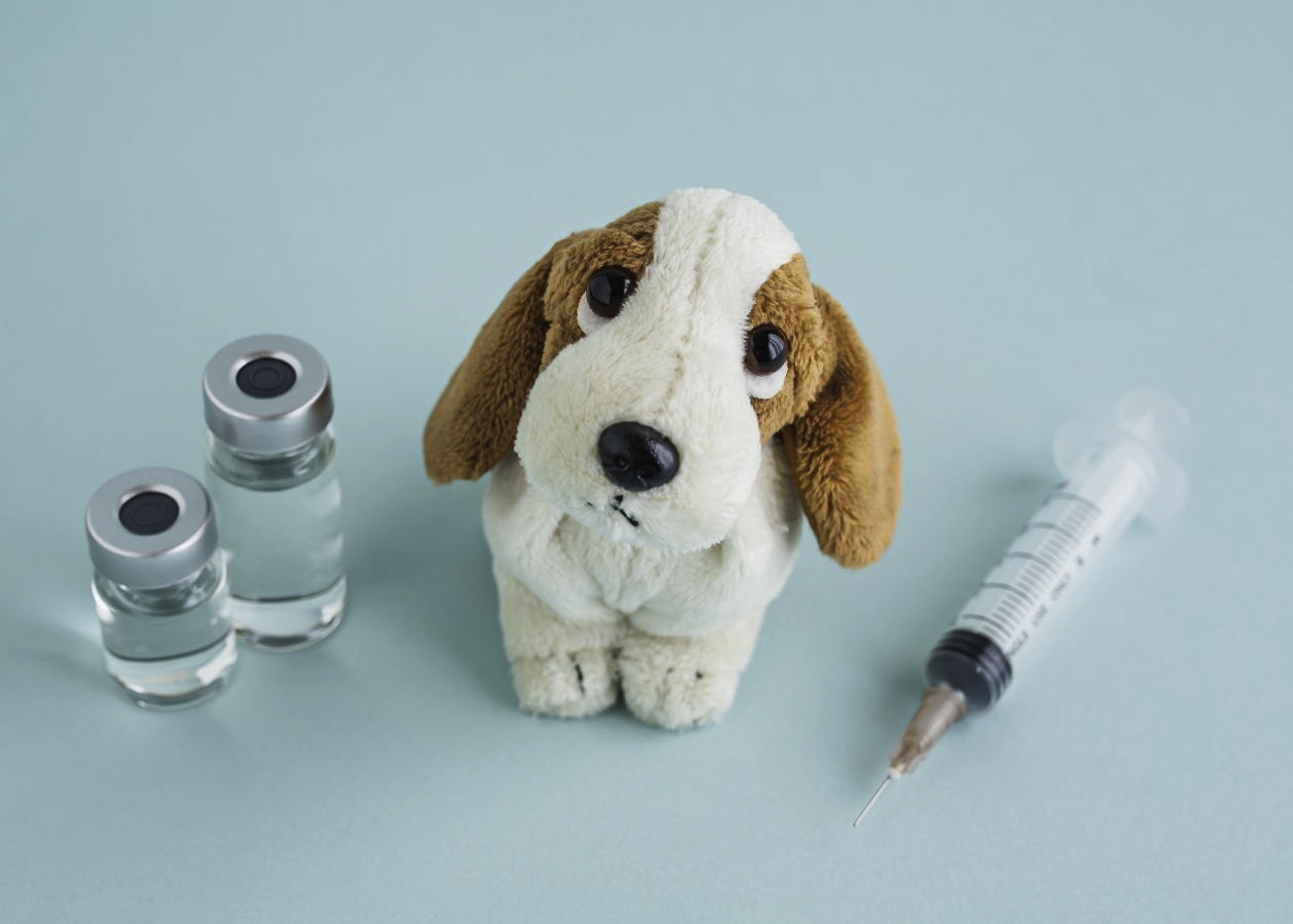 Anna Peruffo vaccinazioni prevenzione