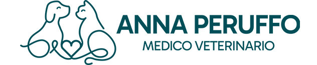 Anna Peruffo Medico Veterinario